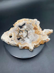 Wholesale Petrified <b>Wood</b> <b>Slice</b> 2 Sides Gemstones High Quality Handicrafts Carved Smooth Shape Indonesian Healing - Product Image 5