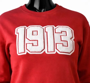 Sudadera Delta/Sigma/Theta 1913 con Letras Bordadas en Chenille, 100% Algodón Orgánico, Cuello Redondo, Corte Regular para Hombre - Product Image 2