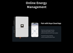 อินเวอร์เตอร์ไฮบริดสามเฟสแรงดันสูง DEYE รุ่น SUN-80K-SG02HP3-EU-EM6 รองรับแบตเตอรี่ HV สำหรับยุโรป กำลังไฟ 80 กิโลวัตต์ - Product Image 4