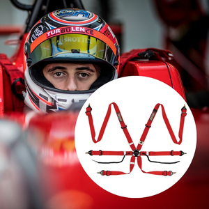 Ceinture de sécurité de course TBRACING Sport Plus homologuée FIA, avec poignées et languettes de maintien, pour fabricants en gros (OEM/ODM) - Product Image 2