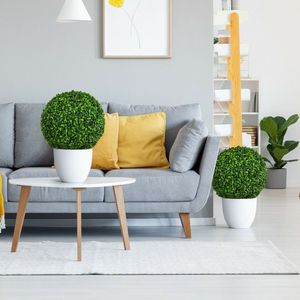2 Pezzi Sfere Decorative in Bosso Artificiale, Piante Finte a Sfera per Vasi, Ideali per Decorazioni Domestiche o Ufficio - Product Image 6
