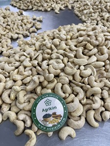 W180 Noix de cajou blanches entières biologiques de qualité exportée Noix de cajou pures de Binh Phuoc Vietnam par Mme Ruby + 84 359318390 - Product Image 6