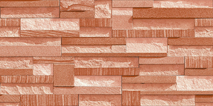 Carreaux muraux Premium Choice de qualité supérieure, carreaux d'élévation Asia Tiles 300x600mm pour articles de santé. - Product Image 2