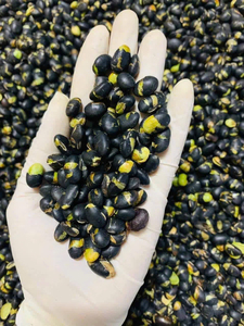 Service OEM, Qualité Supérieure, Vente en Gros de Grains de Soja Noirs de Qualité Alimentaire, Prêts à l'Expédition, Fournisseur d'Exportation en Vrac de Qualité Supérieure - Product Image 5