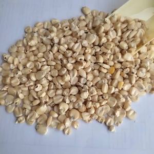 Maíz Blanco Seco Sin OMG, Apto para Alimentación Humana y Animal, Producto de Maíz de Alta Calidad - Product Image 1