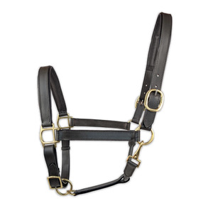 Harnais de cheval en cuir Western Heritage robuste avec sangles réglables et ferrures métalliques argentées pour l'entraînement, le travail au sol et l'usage quotidien - Product Image 2