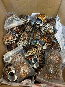 ชุดที่ใส่ผ้าเช็ดปากเปลือกหอยลายเสือวินเทจ - Product Image 1