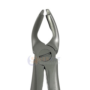 Pinzas de Extracción Dental Premium F1, Pinzas Universales Atraumáticas para Extracción de Dientes Superiores con Agarre Profundo y Mango Dorado Gervet - Product Image 5