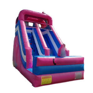 Produk baru merah muda biru penuh warna raksasa PVC Luncur tiup dengan hambatan perlindungan jalur tunggal 5x3m - Product Image 1