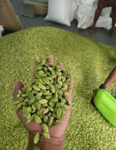 Vainas de Cardamomo Verde Frescas, Semillas de Cardamomo Secas Enteras, Especia Natural para Té e Industria Alimentaria, Marca CREKS, 10 kg, 24 Meses de Caducidad - Product Image 4