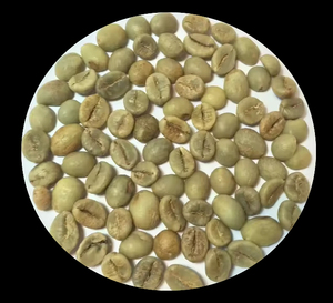 Bulk Supply Premium Quality Wholesale Specialty Coffee Beans Ready Stock Best Quality Export Manufacturer - Product Image 3