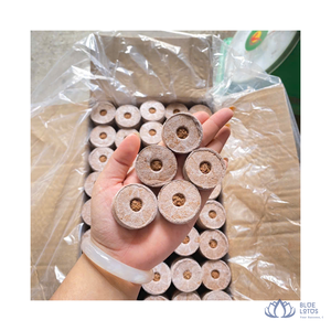 [HAUTE QUALITÉ] |   Disques de tourbe compressée en pellets de coco pour la rétention d'eau et la culture de plantes en pépinière de Blue Lotus Farm - Product Image 1