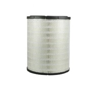 Équipement de nettoyage de filtre industriel de haute qualité 106-3969 Élément de filtre à air 1063969 P533882 3I2086 AF533882