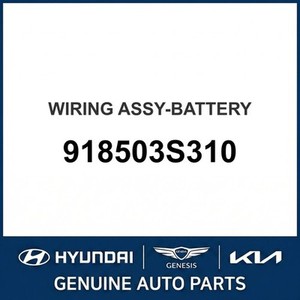 Batteries neuves Sonata 918503S310 - Product Image 1