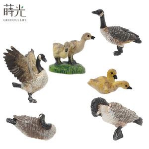 [2,9] Branta Canadensis Mini decoración de jardín terrario accesorios figuritas de resina en miniatura - Product Image 1