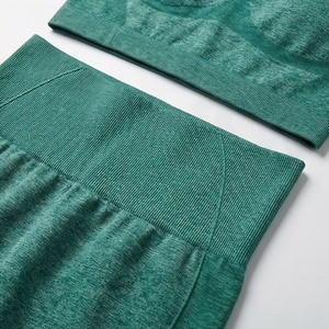 Ropa Deportiva sin Mangas para Mujer, Conjunto de Yoga para Fitness, Spandex y Nailon, Logotipo Bordado Personalizado, Ropa de Gimnasio para Damas - Product Image 5