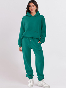 Conjunto de chándal de terciopelo personalizado de gran venta para mujer, talla grande, con sudadera con cremallera y pantalón jogger, patrón liso, conjunto de 2 piezas, traje de terciopelo - Product Image 3
