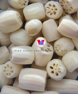 Producto de Raíz de Loto a Granel - Raíz de Loto Congelada - Raíz de Loto Premium - Product Image 2