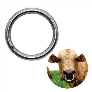 Anillo de latón para ganado de 2.5 pulgadas de diámetro, instrumento veterinario económico con tornillo para la nariz de vacas y toros, venta al por mayor - Product Image 1