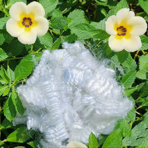 Fibra Discontinua Hueca No Conjugada 6D HF, Ignífuga, 100% Poliéster, Tecnología Avanzada, OEM, ODM, Marca Privada, Segura - Product Image 1