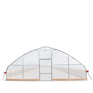 Invernadero de 25 pies x 100 pies para cultivo con película EVA transparente de 6 mil y estructura estable con techo de cúpula y lados con manivela - Product Image 2