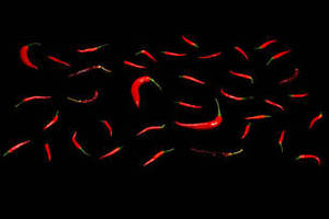 Approvisionnement en gros FitTree International Piment rouge indien entier, haute valeur chromatique, durée de conservation de 24 mois, cru, pour marchés internationaux - Product Image 3