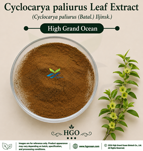 สารสกัดจากใบไซโคลคารีอา พาลิอูรัส จากโรงงาน HGO โดยตรง (Cyclocarya paliurus (Batal.)) อิลจินสค์) เกรดอาหาร 4:1 5:1 10:1 20:1 - Product Image 1