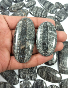 Vente en gros de pierres précieuses naturelles d'Orthocéras, cabochons en vrac, cristaux de guérison, vente en gros en vrac, Inde - Product Image 6