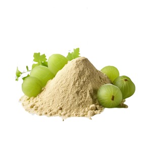 Polvo de Amla 100% Natural de Grado Alimenticio, Secado al Sol, Polvo Puro de Fruta de Amla, Brinda Nutrición Natural de Frutas y Sabor Tropical - Product Image 1