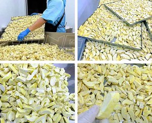 Durian séché en tranches FD en gros du Vietnam, emballage en vrac avec sirop, échantillon OEM disponible - Product Image 5
