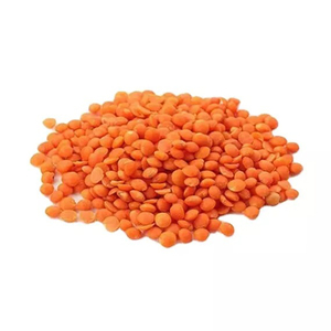 ถั่วเลนทิลแดงคุณภาพสูง สำหรับผู้ซื้อขายส่งที่ต้องการปริมาณคงที่ - Product Image 3