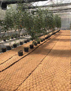 Alfombra de Fibra de Coco ECO2GO VIET NAM al por Mayor |   Malla de Fibra de Coco Tejida a Medida, Ecológica, Extra Gruesa para Jardines, Costas y Exteriores - Product Image 6