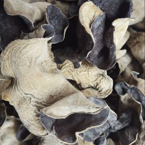 Cultivé vietnamien naturel séché bois oreille champignon sain végétalien nourriture et cuisson assaisonné bouchon traité - Product Image 3