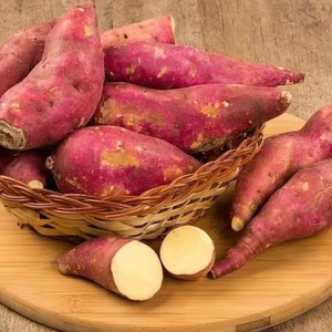 Patata Dulce Orgánica IQF Premium Congelada al Vapor, Lista para Comer, Ideal para Smoothies, Pasteles, Papillas y Sopas, Apta para Dietas, Ahorra Tiempo - Product Image 1