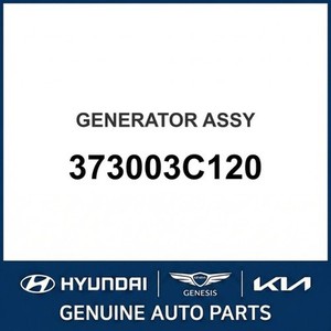 Alternateurs et générateurs neufs Sonata 373003C120 - Product Image 1