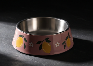Gamelle Moderne en Métal Émaillé Anti-Renversement pour Animaux, Motif Citron, pour Chien et Chat, avec Base Antidérapante en Caoutchouc, Vente en Gros - Product Image 3