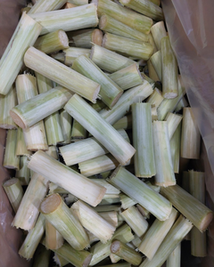 CAÑA DE AZÚCAR CONGELADA DE VIETNAM – SUMINISTRO A GRANEL CON CALIDAD ESTABLE - Product Image 1