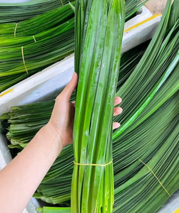 ใบเตยแช่แข็งที่มาจากเวียดนามเพื่อการแต่งกลิ่นใบไม้เขตร้อนสำหรับของหวานและเครื่องดื่ม - Product Image 4