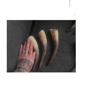 Polished Buffalo Horn decorative Unique Carved Animal Style Handicraft Natural <b>Raw</b> Horn Decoration items - Product Image 6