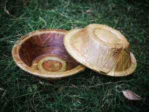 ชุดจานใบอูรีก้าย่อยสลายได้ 50 ชิ้น ทำด้วยมือ ภาชนะใช้แล้วทิ้งสำหรับงานจัดเลี้ยง ขายส่ง - Product Image 3