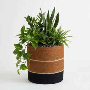 Maceta Redonda de Seagrass Tejida a Mano Estilo Bohemio con Rayas para Plantas Verdes de Interior, en Oferta - Product Image 3
