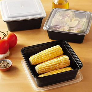 Caja de Alimentos Desechable Ecológica, Venta al por Mayor en Pakistán, Caja de Alimentos Desechable Biodegradable de Alta Calidad OEM ODM - Product Image 5