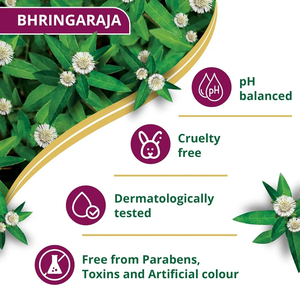 Shampoo anti-chute naturel enrichi en protéines de bhringaraja, conçu pour le soin du cuir chevelu et la vitalité des cheveux, adapté aux hommes et aux femmes. - Product Image 4