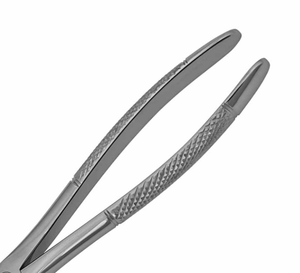 ARISTON INTERNATIONAL Pinzas de Extracción de Molares Inferiores de Calidad Duradera, Mangos Serrados, Agarre Firme, Acero Inoxidable, Manuales - Product Image 5