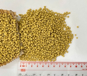 Vietgro Granular Yellow NPK 17-7-17 90% Purity Controlled Release Fertilizer Compound with Amino Trace Elements for Agriculture - Product Image 1