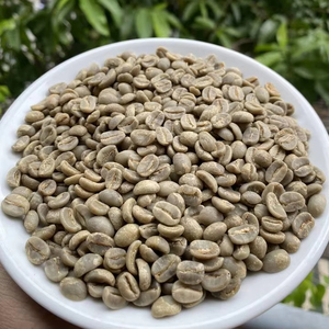 Granos de Café Verde Arábica Procesados con Miel, Yellow Bourbon, Origen Vietnam, 98% Maduros, Nueva Cosecha - Product Image 1