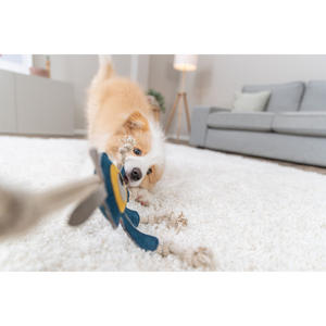 Monster <b>Interactive</b> <b>Pet</b> <b>Toy</b> with 47 cm Rope Leather <b>for</b> Movement & Exercise - Product Image 5