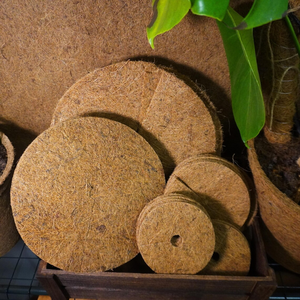 Eco2go Vietnam-Coir Mulch Ring Eco-Friendly Coconut Fiber Tree Protection & Moisture Retention for Home Garden Use - Product Image 3
