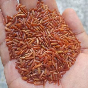 Riz Rouge Séché Dur Adapté aux Diabétiques, Grains Longs du Vietnam, Faible IG, Céréale Intégrale, Aliment Nutritif, Vente en Gros, OEM, Marque Privée, Nouvelle Récolte - Product Image 1
