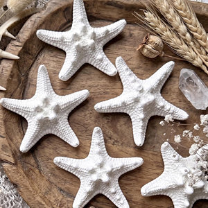 Estrellas de mar naturales a bajo costo, estrellas de mar al por mayor, accesorios de decoración con temática náutica - Product Image 3